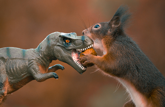 Image "Сoncept Of Rivalry" by niki colemont
