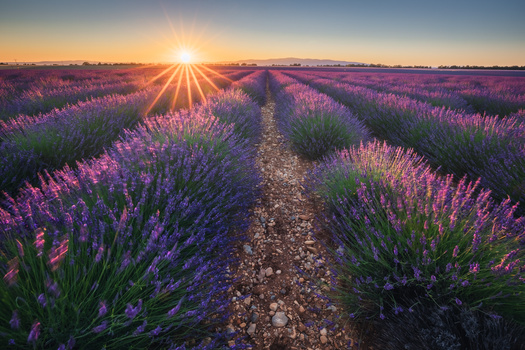 Image "Provence sunset" by Paweł Uchorczak