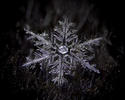 Image "Snowflake" by Russell Okon