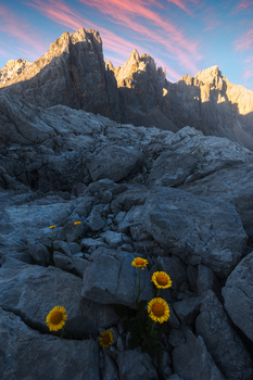 Image "Picos de Europa" by José Miguel Serna