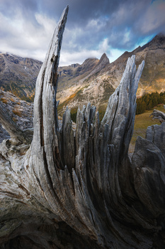 Image "Valle de Pineta" by José Miguel Serna