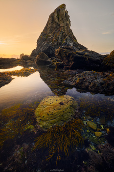 The Secret Below, the Sentinel Above by Álvaro Lamas