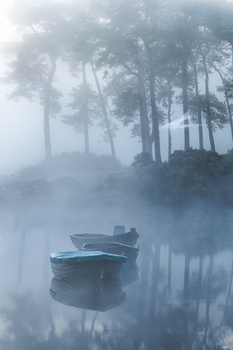 Image "Ghost Swan" by Sylvan Buckley