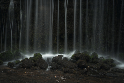 Image "Silk falls" by Ryohei Tomura