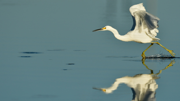 Image "Walk on Water" by Kenneth Wong