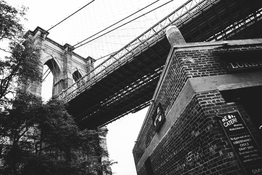Image "Dumbo" by Marco Fiorini