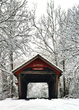 Image "Bluebird Bridge" by Richard Viehmann