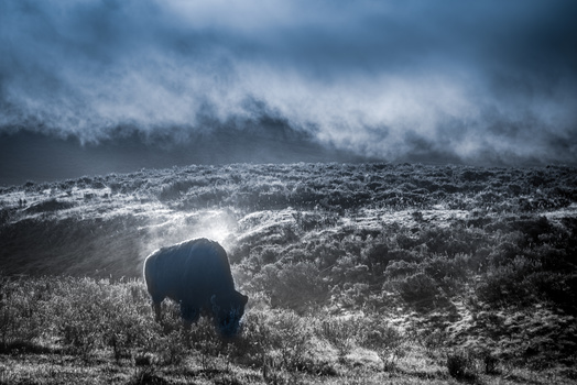 Image "Misty Morning Mystique" by Dennis Gingerich