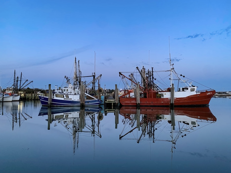 Image "Symmetry" by Deborah Felmey