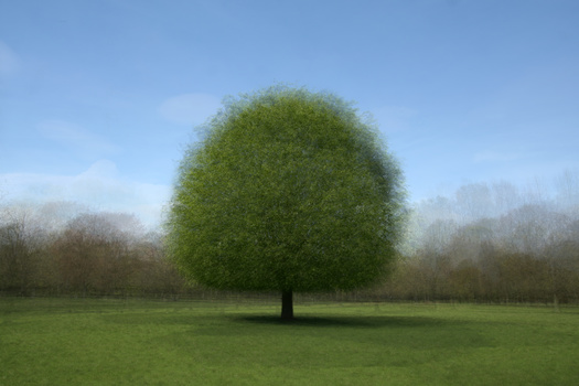 Image "Spring greens" by Mike Matthews