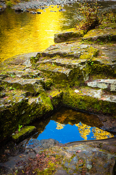 Image "Brice Creek" by Matt Emrich
