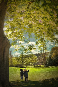 Image "DID YOU SEE THAT?" by PEDRO Hayward