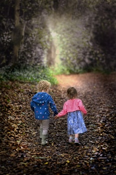 Image "Lets go and see whats up there" by PEDRO Hayward