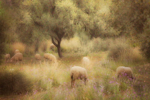 Image "Hot and Hazy" by PEDRO Hayward
