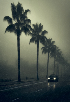 Image "BE GOOD TO GET HOME" by PEDRO Hayward