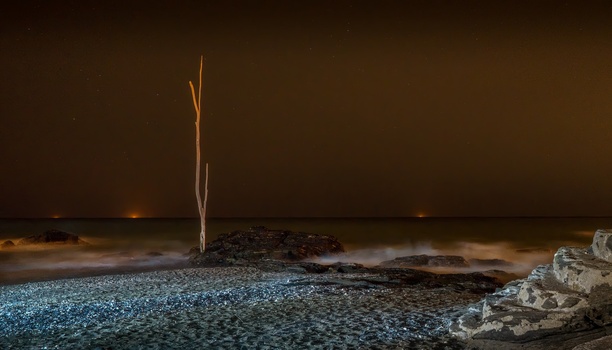 Image "WHY?" by PEDRO Hayward