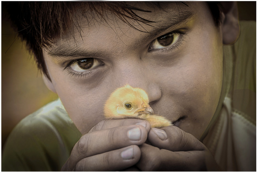 Image "THE EYES HAVE IT" by PEDRO Hayward