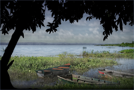 Image "Our  "PLAYA"" by PEDRO Hayward