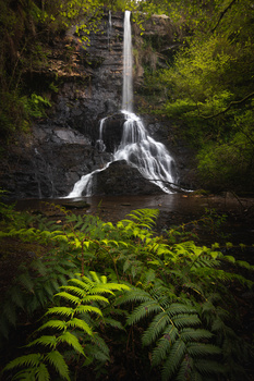 Image "The shape of fluidity." by Laura Baratas