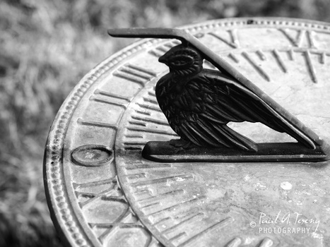 Image "High Noon" by Paul Teseny