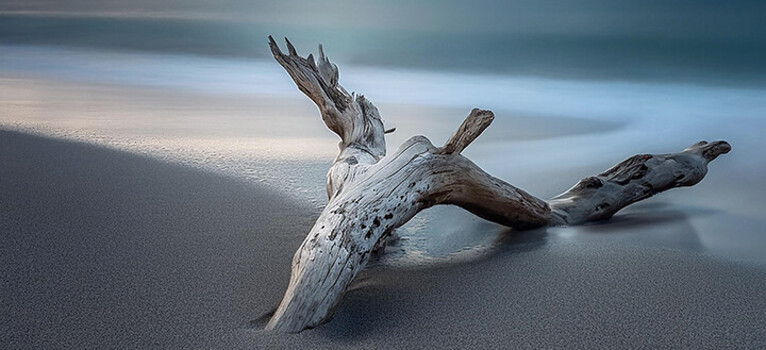 View Untitled 4 by judy foote-belleci