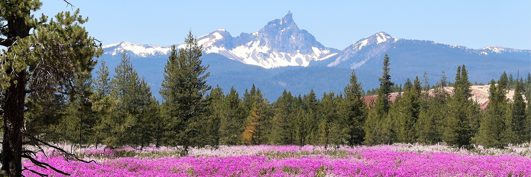 Image "thielsen panorama ..." by judy foote-belleci