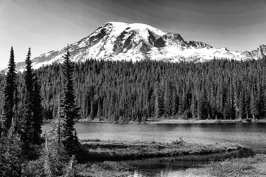 Image "mighty mount rainier ..." by judy foote-belleci