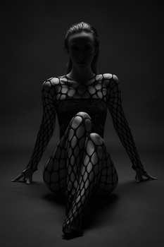 Image "Moonlight" by Paul Misseghers