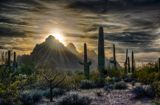 Image "Worship Service" by L A Duerksen