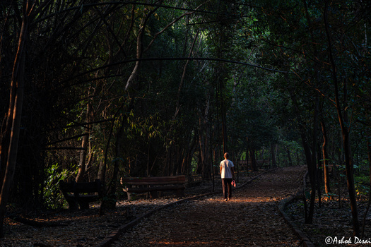 Image "Morning walk" by Ashok Desai