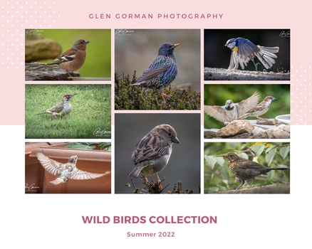 Image "Wild Birds" by Glen Gorman