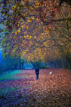 Image "Tubingen" by VASILIS PETRIS
