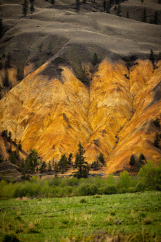 Image "Gold in them thar Hills" by Tom Burbee