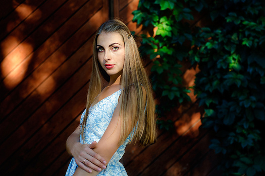 Image "Kate at the wooden gate" by Andrew Weiss