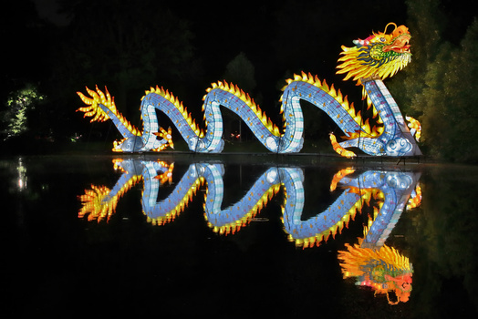 Image "Dragon at the Lantern Festival" by Robert koernke