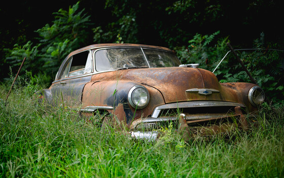Image "Chevy in the Weeds" by Steven Nelson