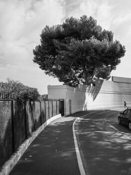 Image "The Boulevard" by Steven Nelson