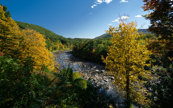 Image "Rivers Bend" by Steven Nelson