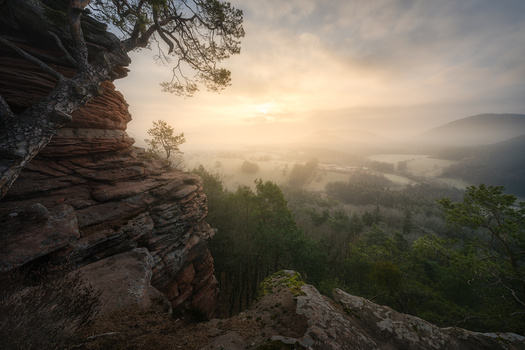 Image "Calm Morning" by Benjamin Höger