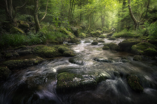 Image "Enchanted Water" by Benjamin Höger