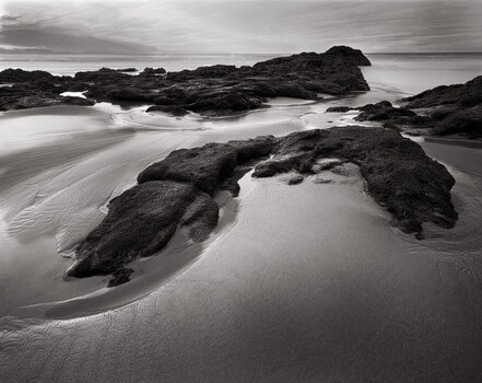 Image "Sea Creatures, Praia do Guincho, Portugal" by Nathan McCreery