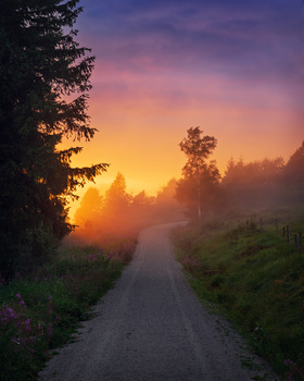 Image "Colourful Black Forest" by Jeroen Verzijden