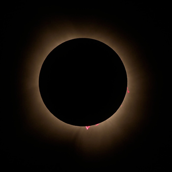 Image "Totality with Prominences - Clarksville Texas" by Frank Ginn