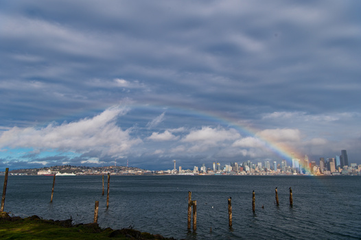 Image "The Emerald City" by Cindy Braunheim