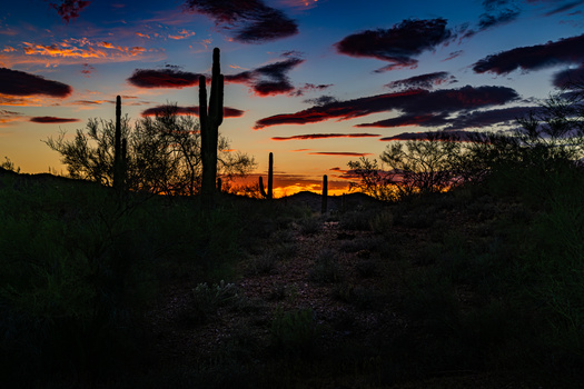 Image "Good night Buckeye AZ" by Cathi Miller
