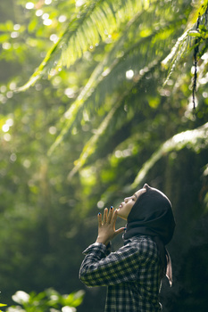 View Untitled 1 by Rully Aan Firmansyah