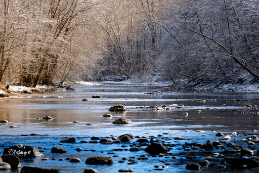 Image "Salamonie River in Winter" by Chuck Milledge