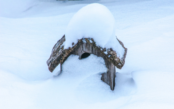 Image "Snow on the rooftop" by Roger Summitt