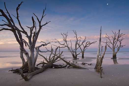 Ghosts of the Past by Juergen M Zeidler