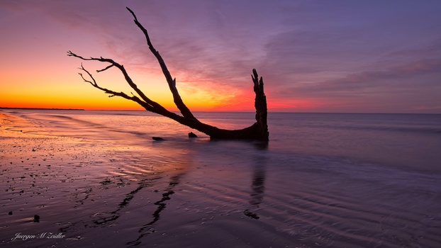 Image "Reflection" by Juergen M Zeidler